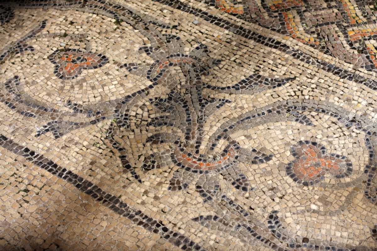 Immagine di un treno in partenza dalla stazione di Cervignano del Friuli.